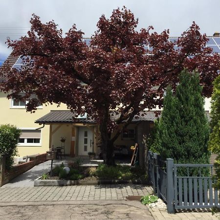 Apartmentvermietung Ingrid Bolkart - Voehlino 2 Илертисен Екстериор снимка